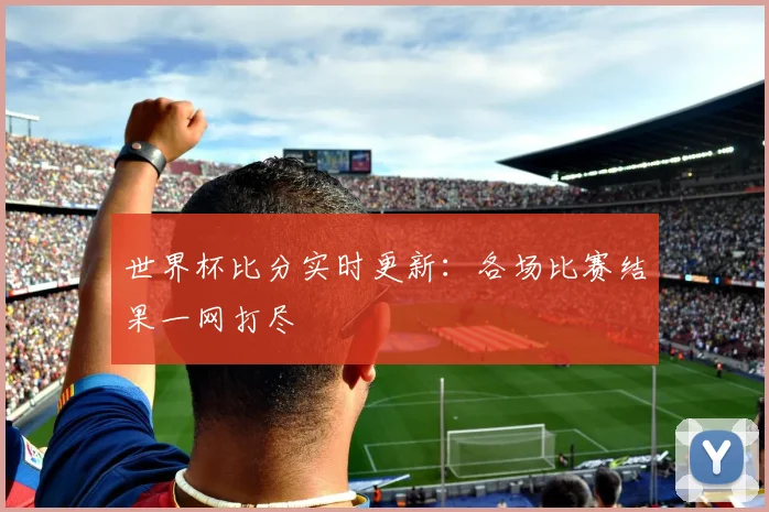 世界杯比分实时更新：各场比赛结果一网打尽