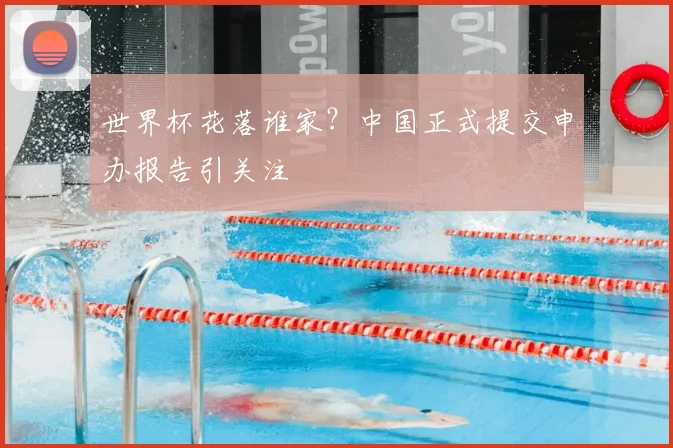 世界杯花落谁家？中国正式提交申办报告引关注