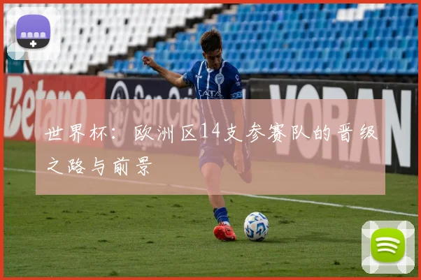世界杯：欧洲区14支参赛队的晋级之路与前景