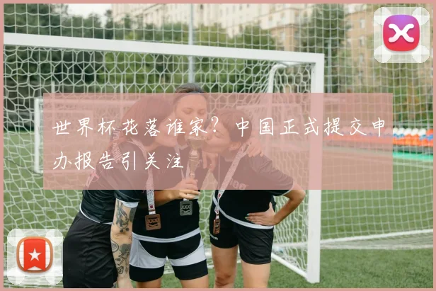 世界杯花落谁家？中国正式提交申办报告引关注