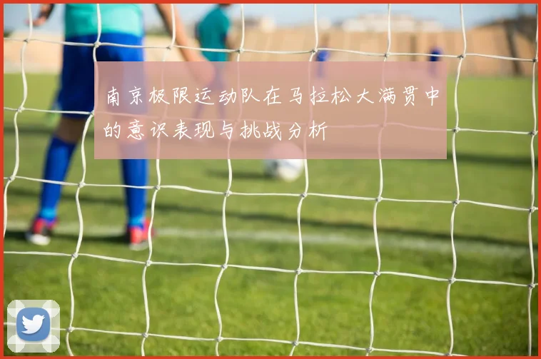 南京极限运动队在马拉松大满贯中的意识表现与挑战分析