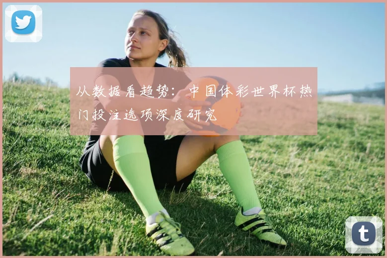 从数据看趋势：中国体彩世界杯热门投注选项深度研究