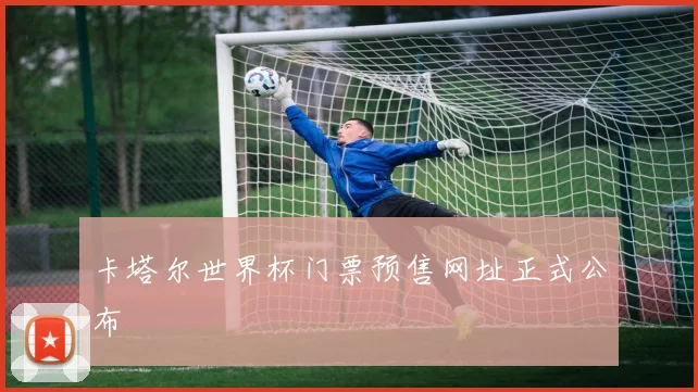 卡塔尔世界杯门票预售网址正式公布