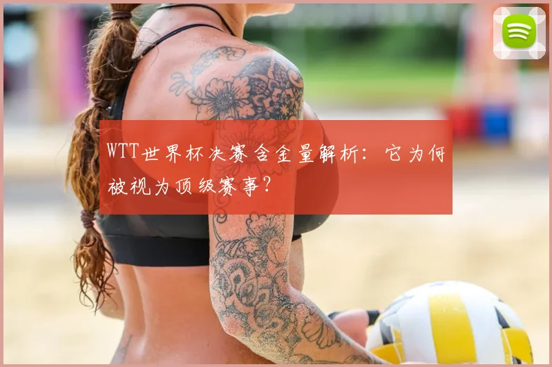WTT世界杯决赛含金量解析：它为何被视为顶级赛事？