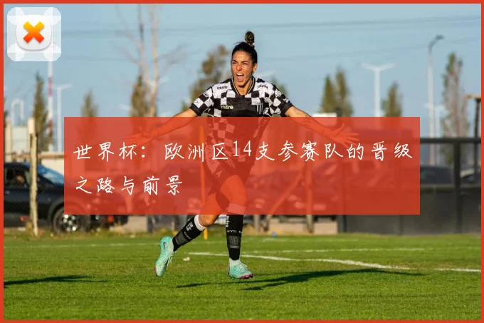 世界杯：欧洲区14支参赛队的晋级之路与前景