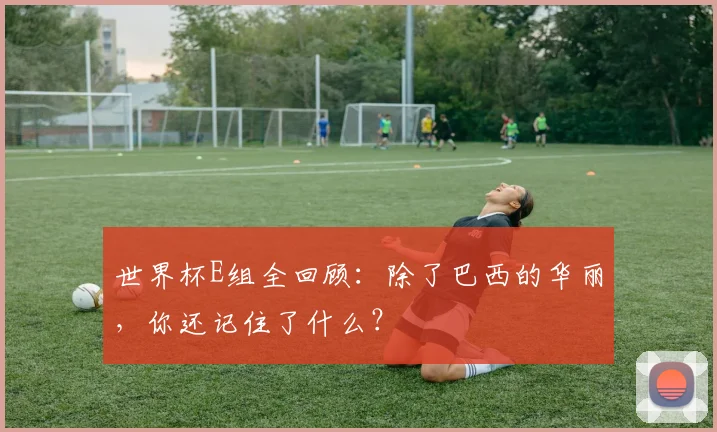 世界杯E组全回顾：除了巴西的华丽，你还记住了什么？