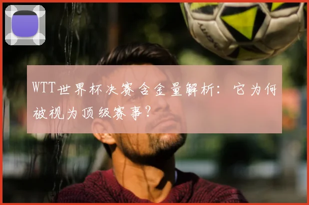 WTT世界杯决赛含金量解析：它为何被视为顶级赛事？