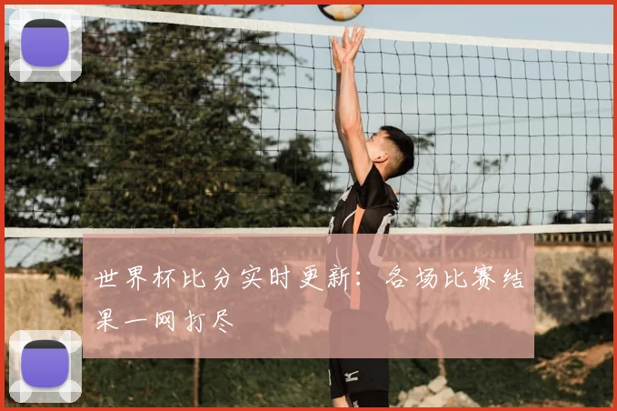 世界杯比分实时更新：各场比赛结果一网打尽