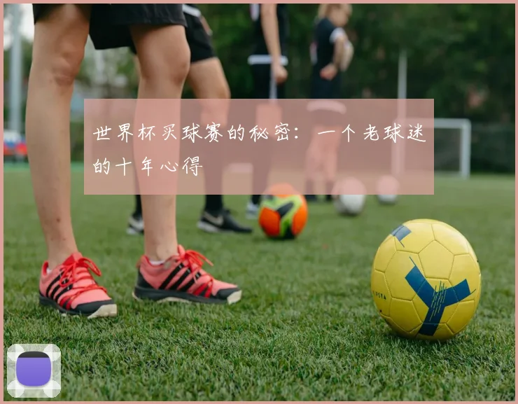世界杯买球赛的秘密：一个老球迷的十年心得