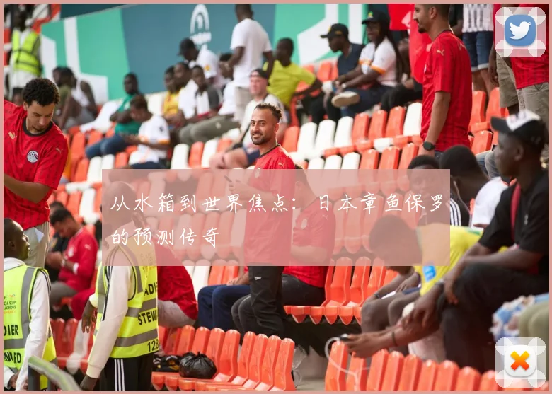 从水箱到世界焦点:日本章鱼保罗的预测传奇