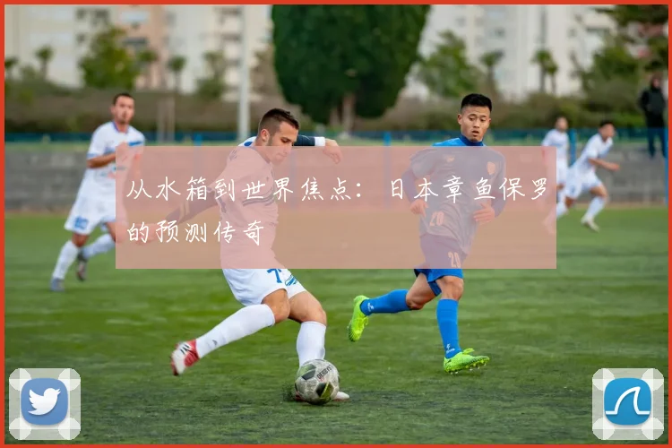 从水箱到世界焦点：日本章鱼保罗的预测传奇