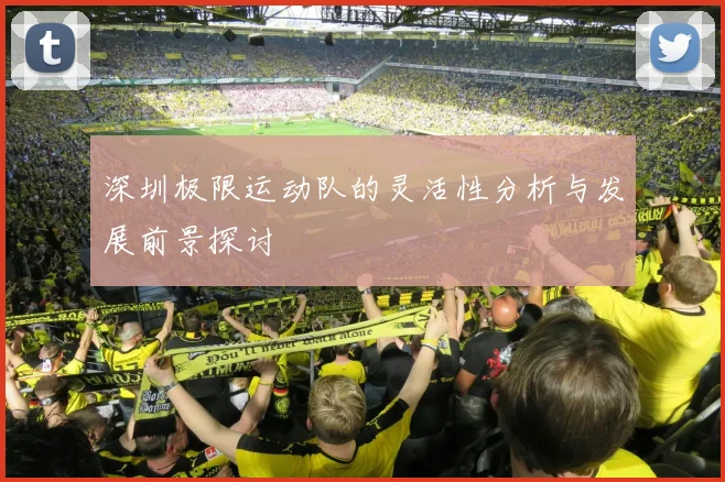 深圳极限运动队的灵活性分析与发展前景探讨